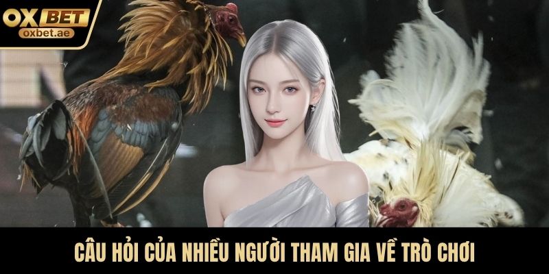 Câu hỏi của nhiều người tham gia về trò chơi