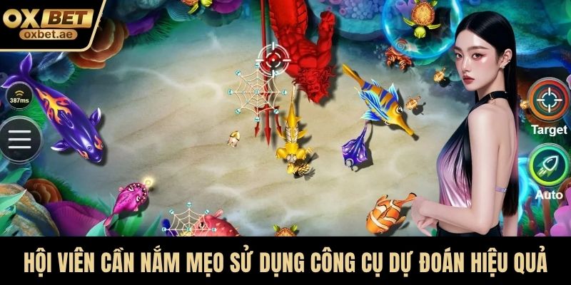 Hội viên cần nắm được mẹo sử dụng công cụ dự đoán hiệu quả