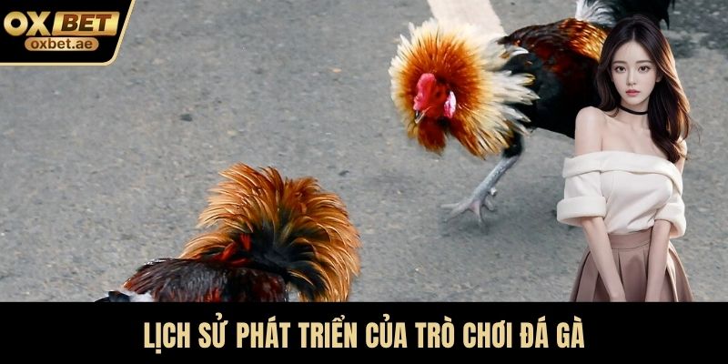 Lịch sử phát triển của trò chơi đá gà